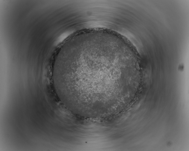 X0000102480871200808221705