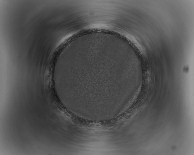 X0000102480872200808221705