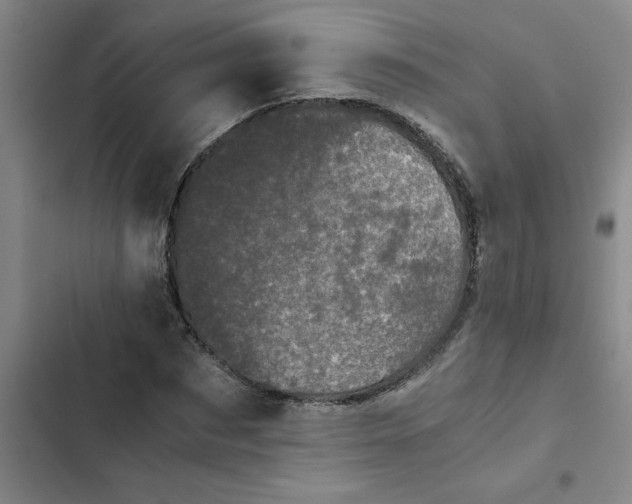 X0000102480873200808221705