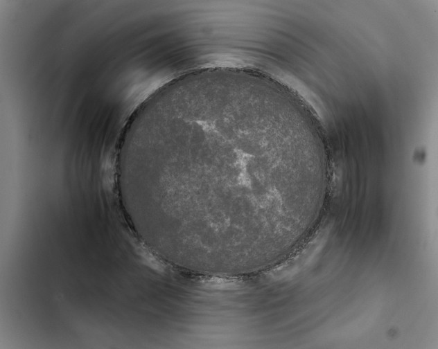 X0000102480874200808221705