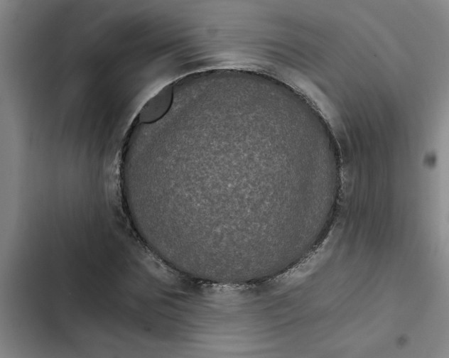 X0000102480875200808221705