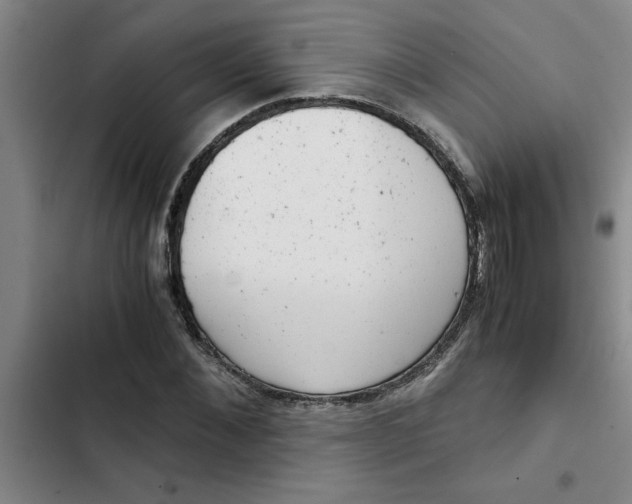 X0000102480876200808221705