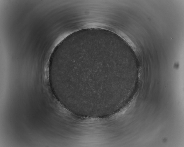 X0000102480877200808221705