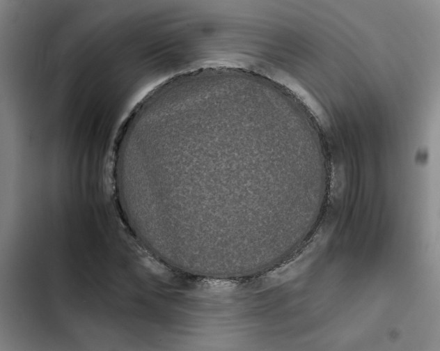 X0000102480878200808221705