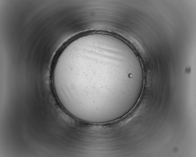 X0000102480880200808221704