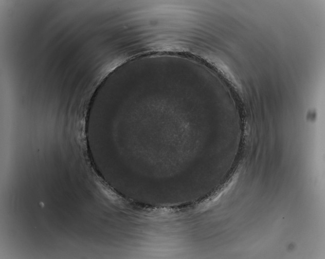 X0000102480881200808221704