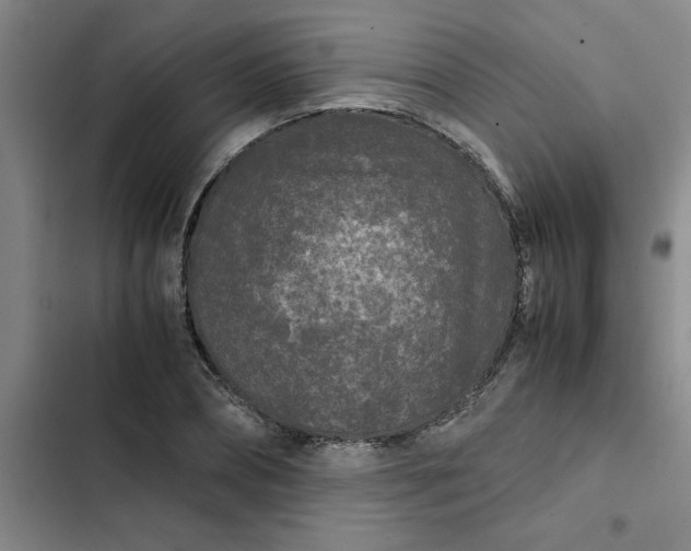 X0000102480882200808221704