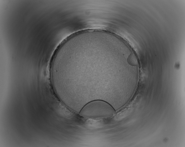 X0000102480883200808221704