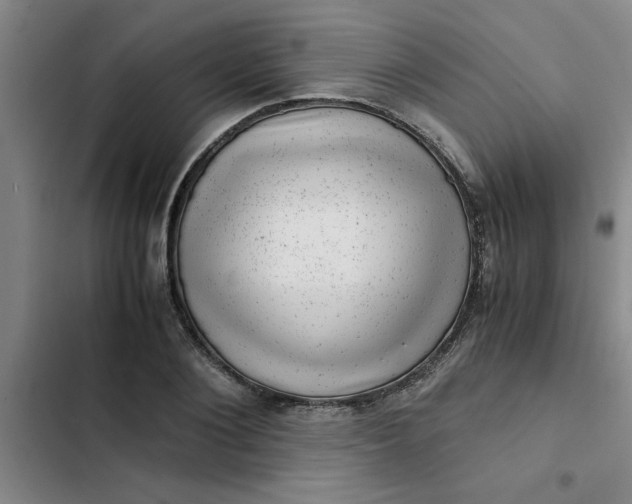 X0000102480884200808221704