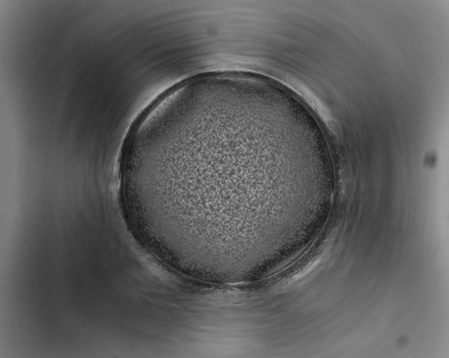 X0000102480885200808221704