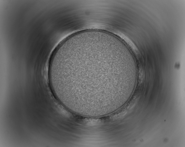 X0000102480886200808221704