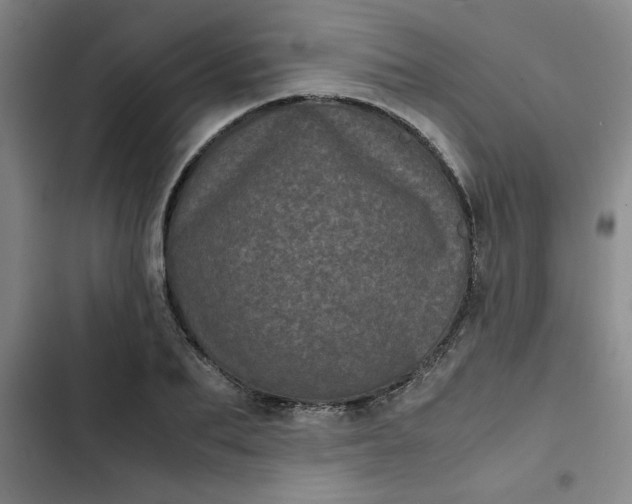 X0000102480887200808221704