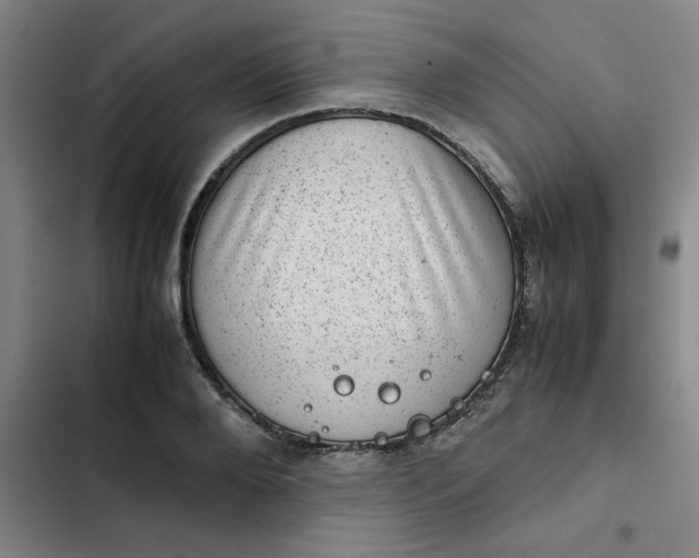 X0000102480888200808221704