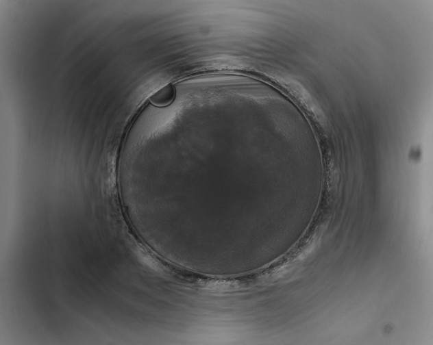 X0000102480889200808221704