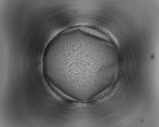 X0000102480890200808221704