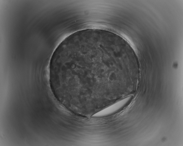 X0000102480891200808221704