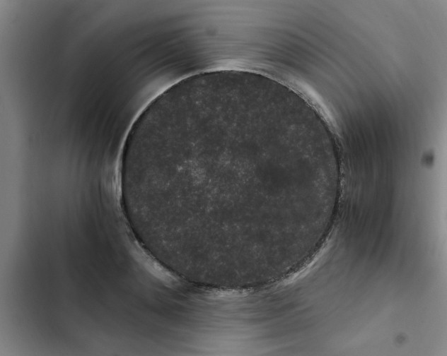 X0000102480892200808221704