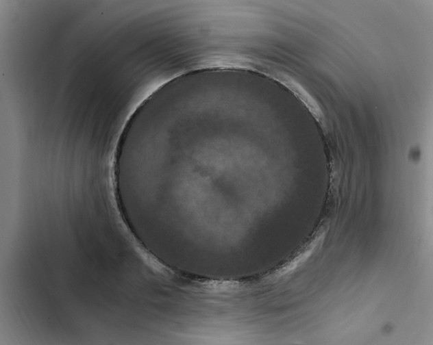 X0000102480893200808221704