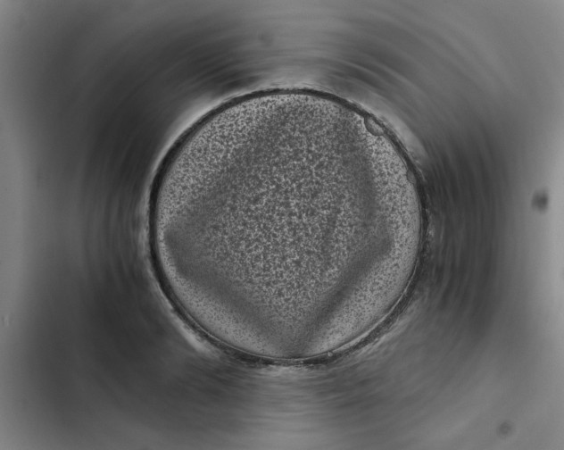 X0000102480894200808221704