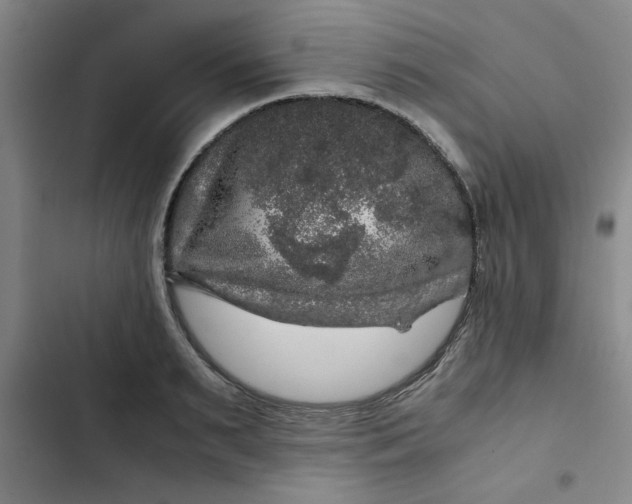 X0000102480895200808221704