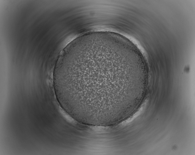 X0000102480897200808221704