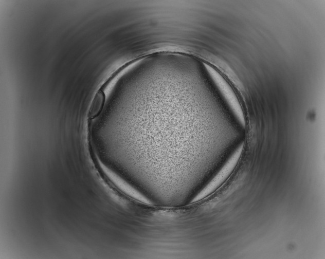 X0000102480898200808221704