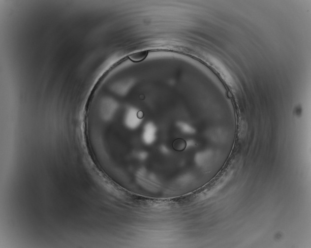 X0000102480899200808221704