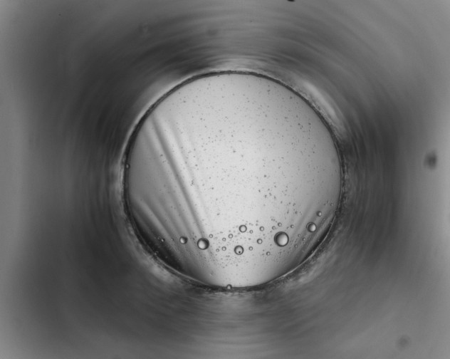 X0000102480900200808221704