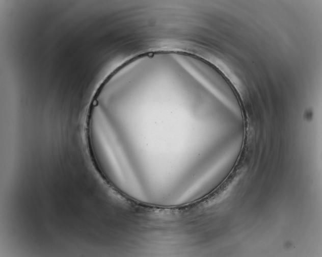 X0000102480901200808221704