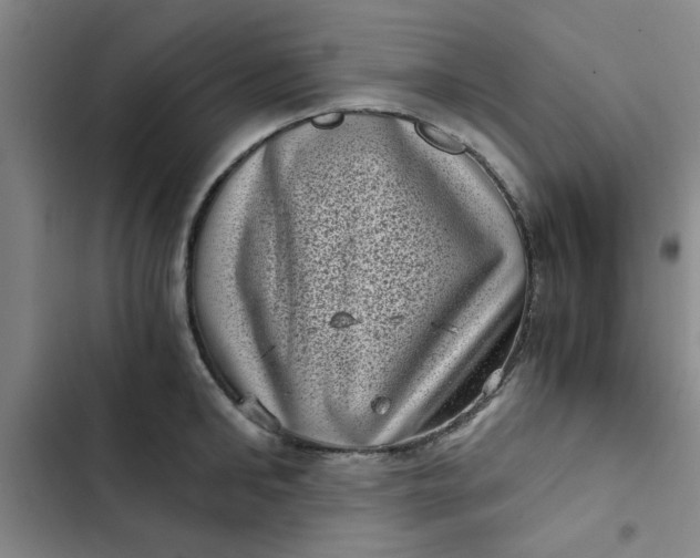 X0000102480902200808221704