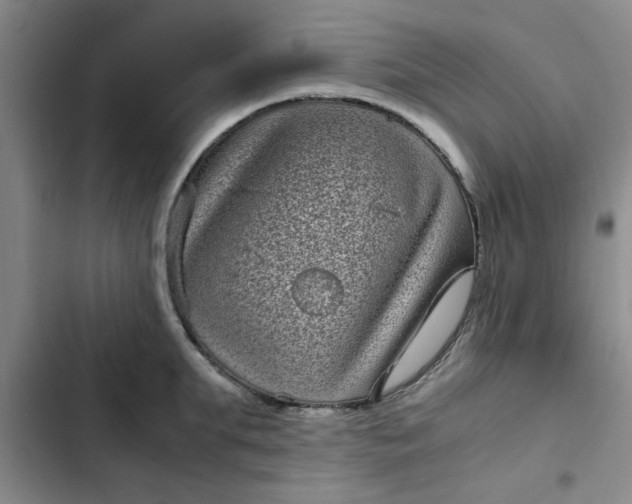 X0000102480903200808221704