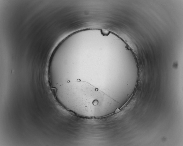 X0000102480904200808221704