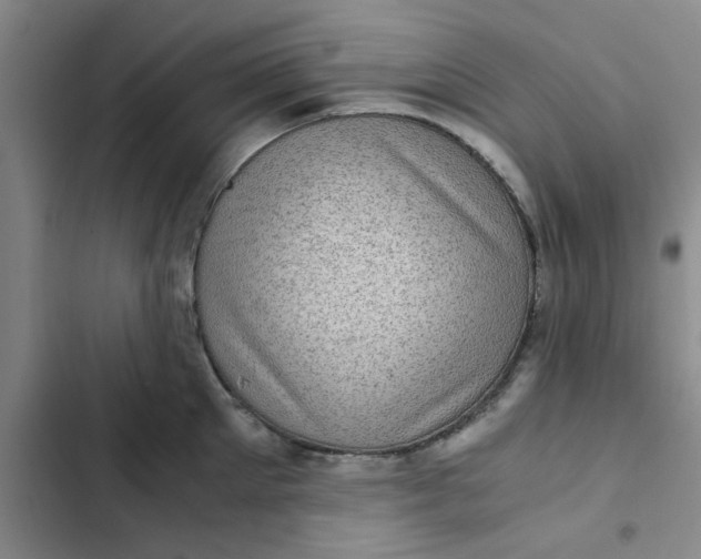 X0000102480905200808221704