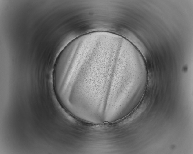 X0000102480906200808221704