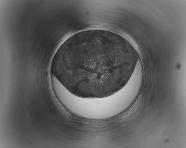 X0000102480907200808221704