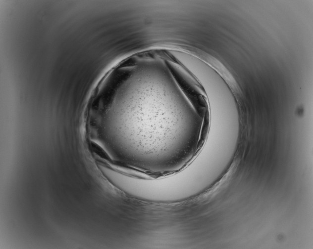 X0000102480908200808221704