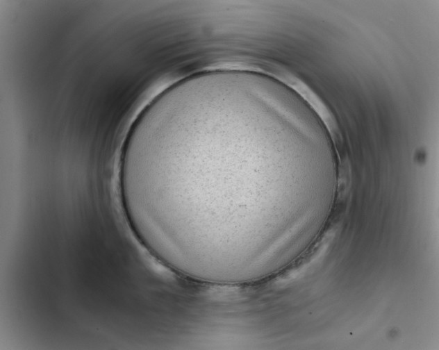 X0000102480909200808221704