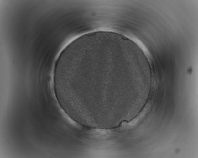 X0000102480910200808221704