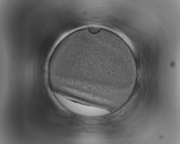 X0000102480911200808221704