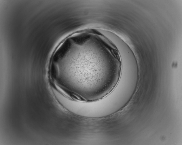 X0000102480912200808221704