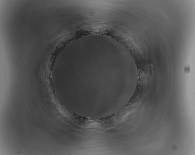 X0000102480913200808221703