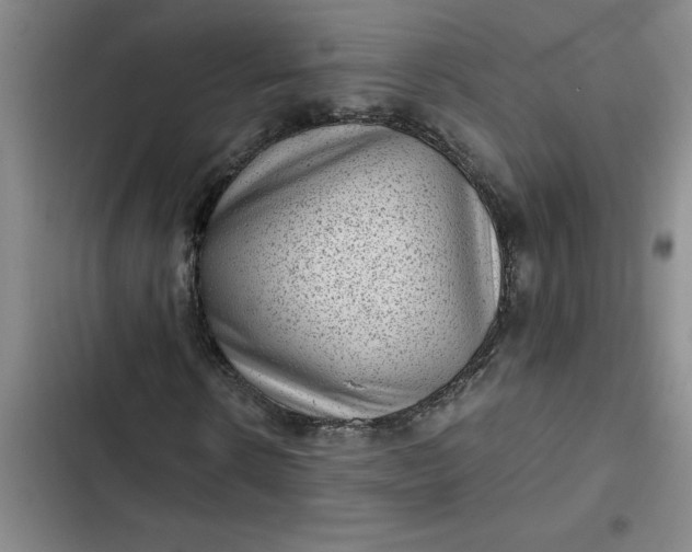 X0000102480914200808221703