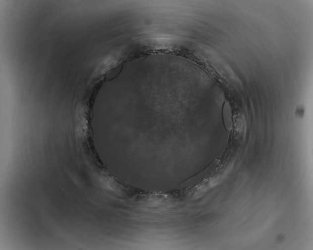 X0000102480916200808221703