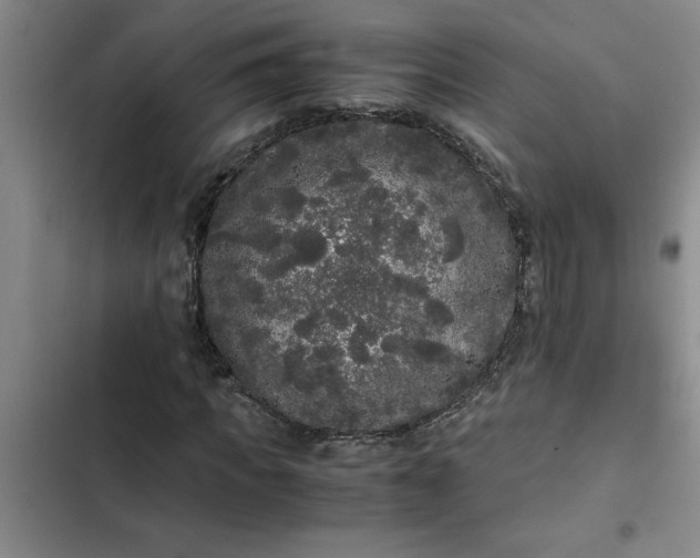 X0000102480917200808221703