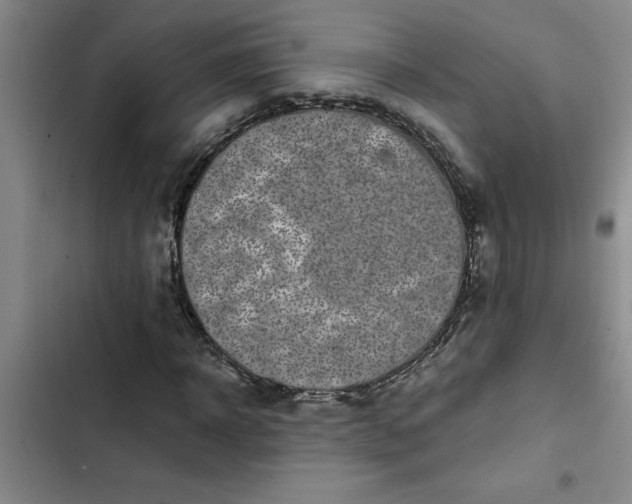 X0000102480918200808221703