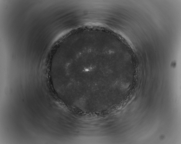 X0000102480919200808221703