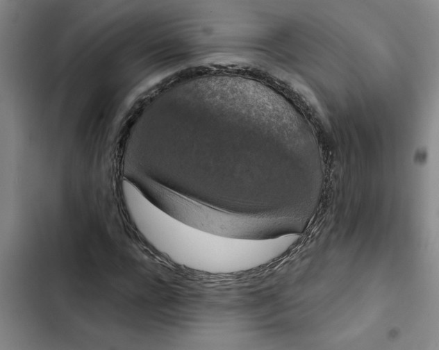 X0000102480920200808221703