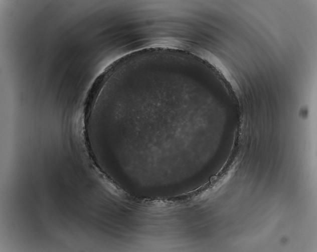 X0000102480923200808221704