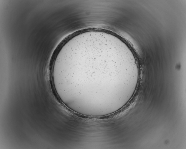 X0000102480924200808221704