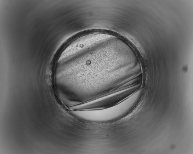 X0000102480926200808221704